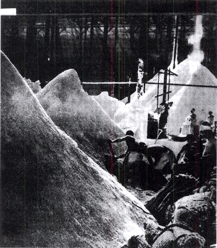 My Time with Father in the Hungnam Labor Camp – Part 2 3 ed20-1