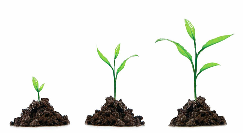 Reaching the Highest Stage of Filial Piety 1 fp us 1