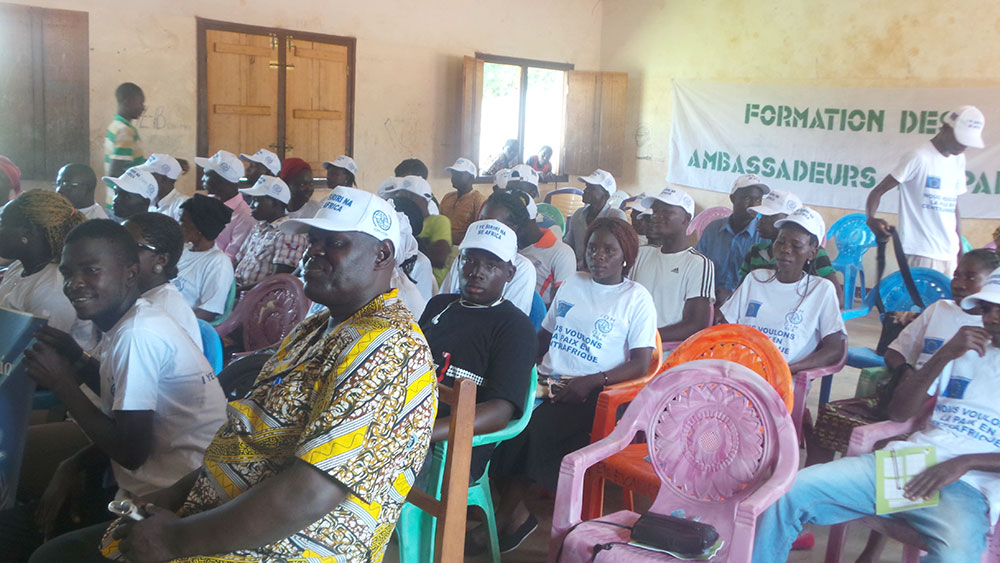 Central African Republic: Conference on Education for Peace 2 car afp 1