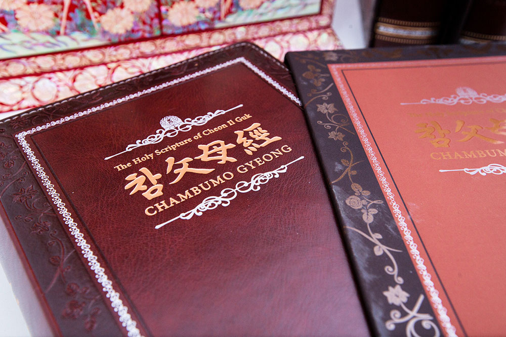 The Mission of the New Truth 4 csg nt 3