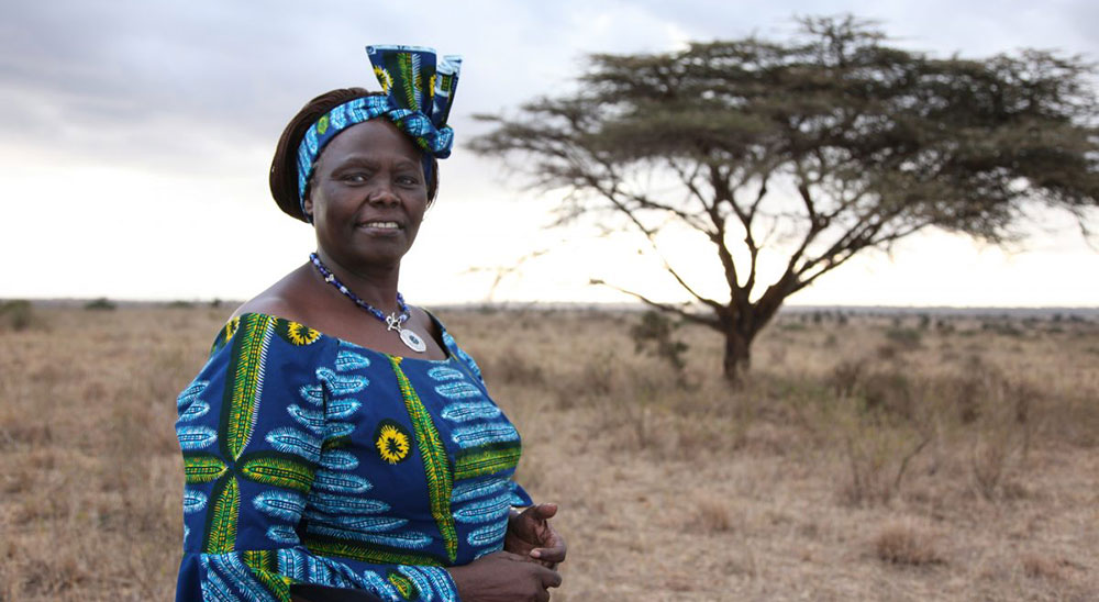 USA: Three Women Who Changed the World 3 wmd 2