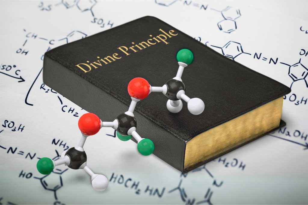 Harnessing the Potential of Divine Principle 1 burton 2