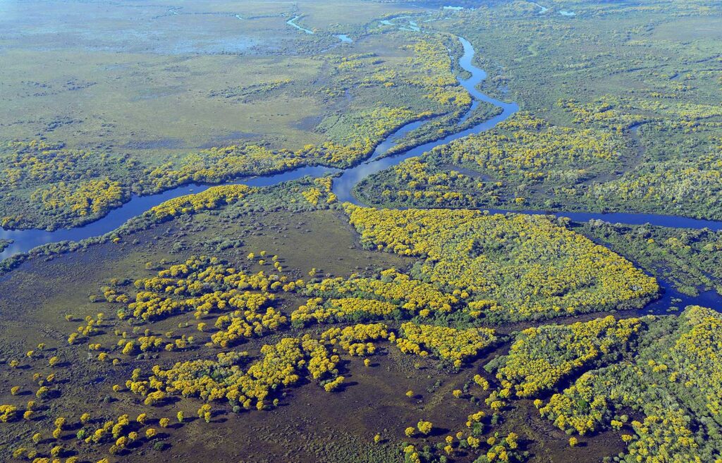 Suffering to Catch Father’s Spirit 1 pantanal 2 1