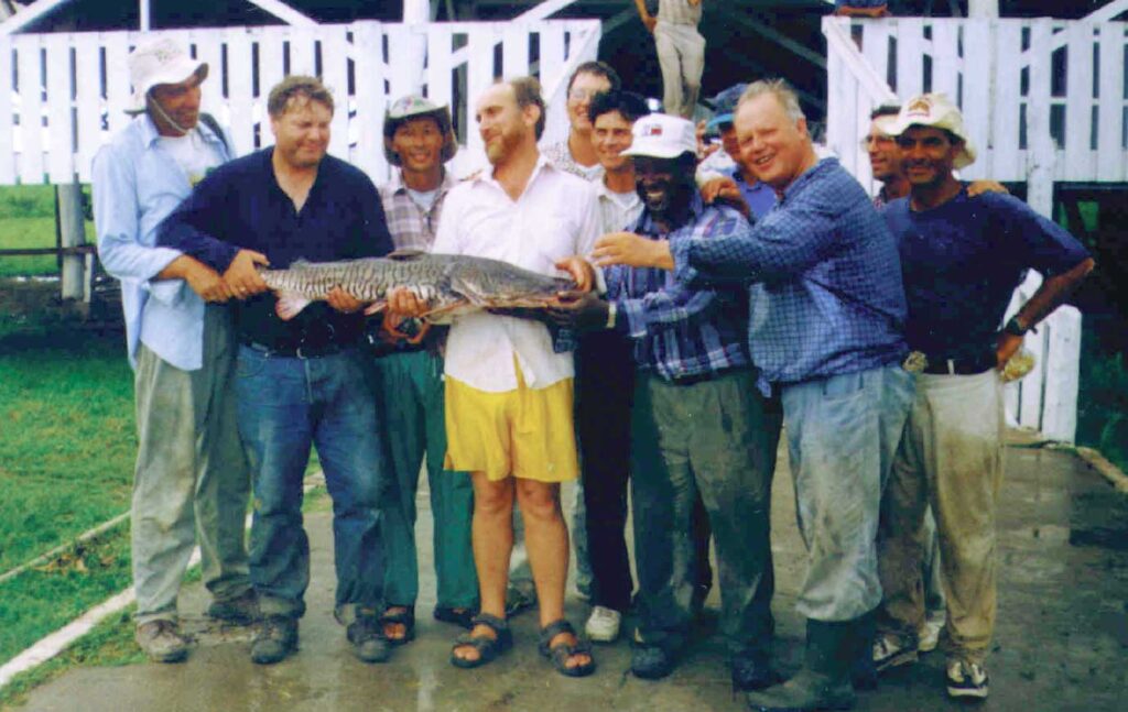 Suffering to Catch Father’s Spirit 3 pantanal fish 1