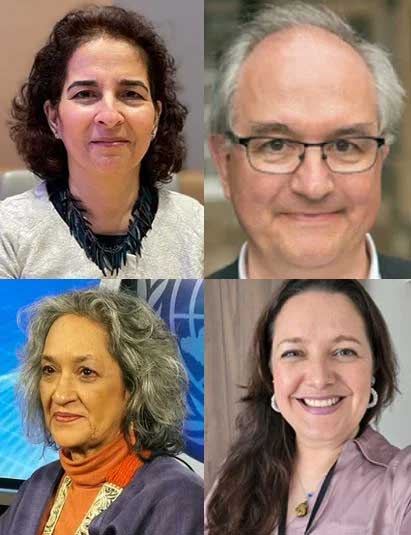 four UN Special Rapporteurs