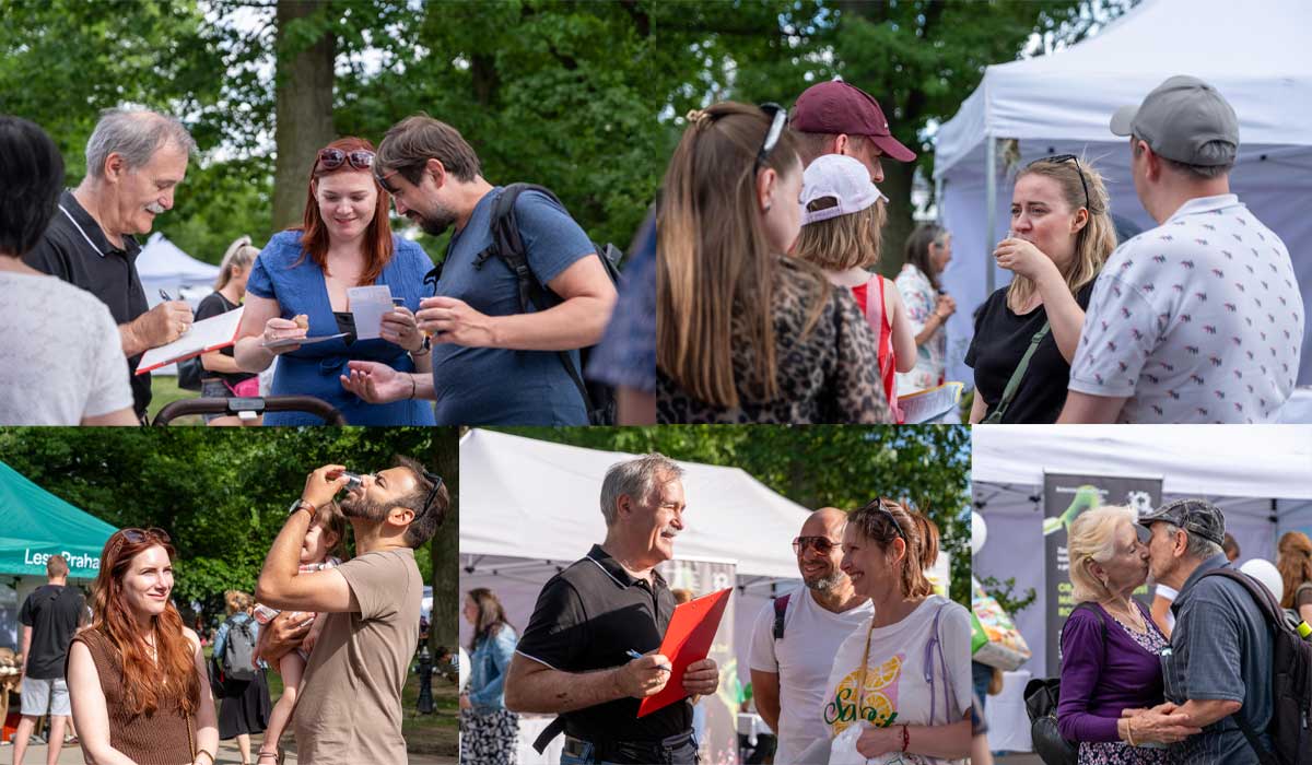 Czech Festival 3