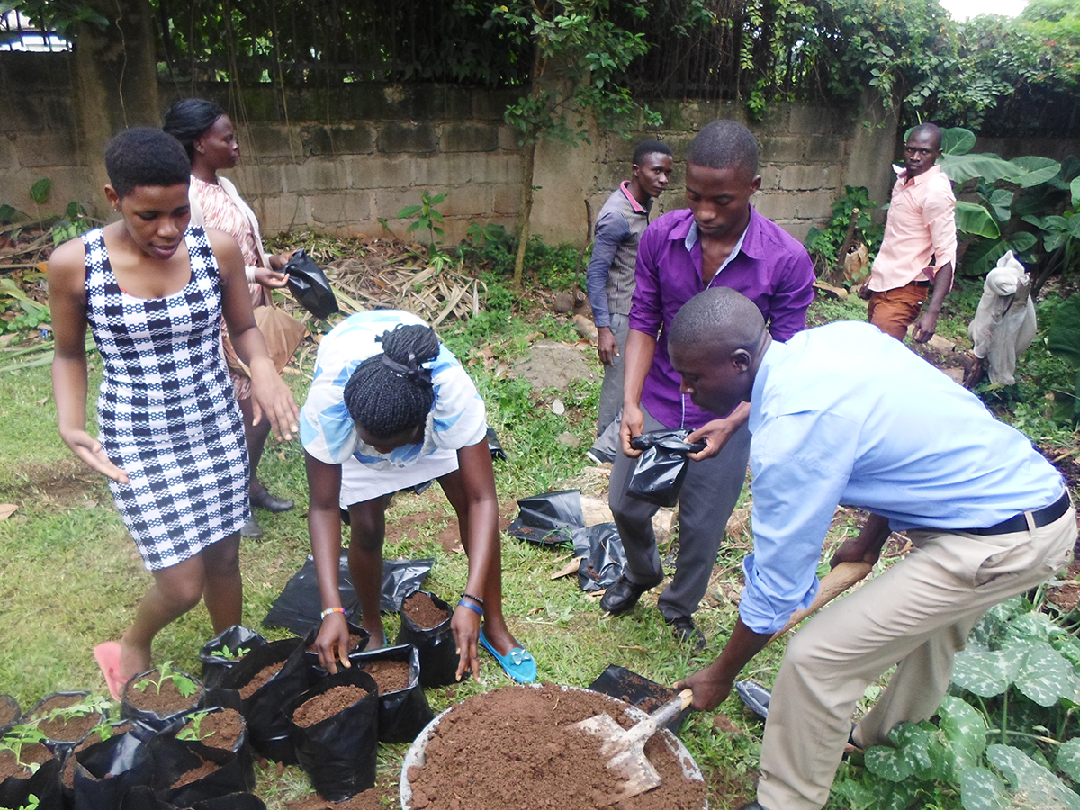 Uganda: Micro Gardening Project 1 SAM_2602